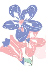 counselling and psychotherapy services provided by Counsellor Ann Finucane MBACP | Rugeley, Staffordshire